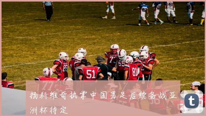 扬科维奇执掌中国男足后续备战亚洲杯待定