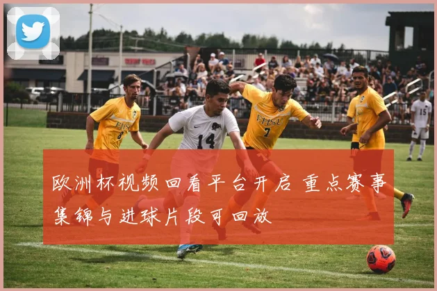 欧洲杯视频回看平台开启 重点赛事集锦与进球片段可回放