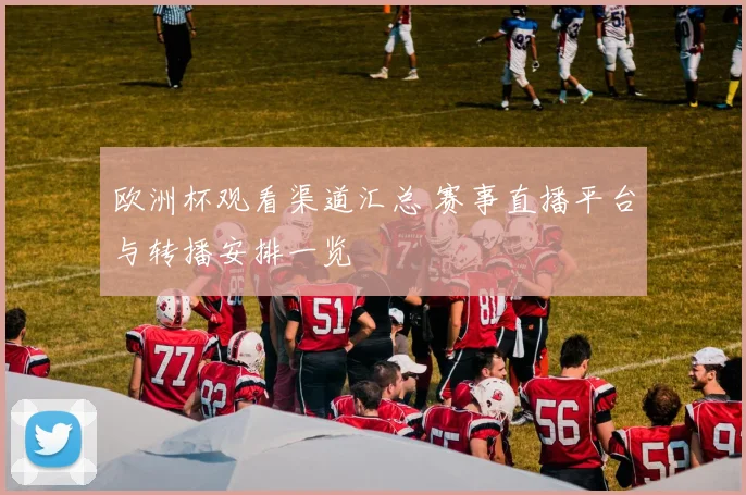 欧洲杯观看渠道汇总 赛事直播平台与转播安排一览