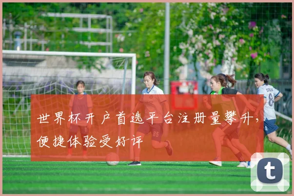 世界杯开户首选平台注册量攀升,便捷体验受好评