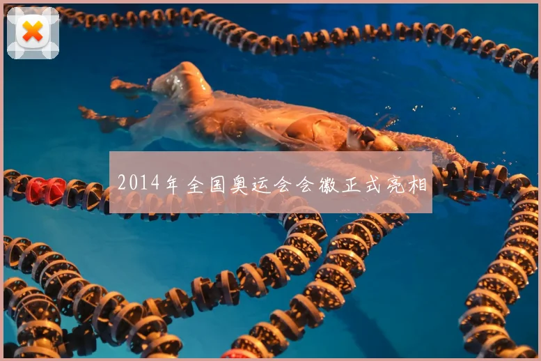 2014年全国奥运会会徽正式亮相