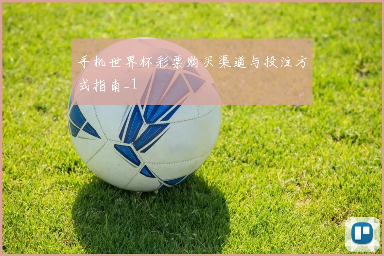 手机世界杯彩票购买渠道与投注方式指南_1