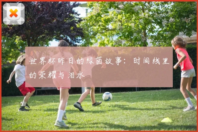 世界杯昨日的绿茵故事：时间线里的荣耀与泪水