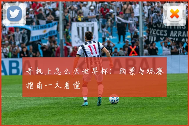 手机上怎么买世界杯：购票与观赛指南一文看懂