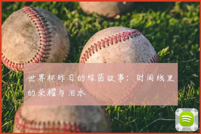 世界杯昨日的绿茵故事：时间线里的荣耀与泪水